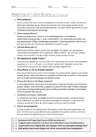 Vorschau - Arbeitsblätter - AB mit Fragen zum Thema "Runen" + Lösungsblatt + Infografik - Seite 2