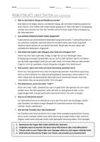 Vorschau - Arbeitsblätter - AB mit Fragen zum Thema "Saiten" + Lösungsblatt + Infografik - Seite 2