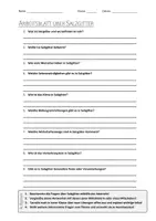 Vorschau - Arbeitsblätter - AB mit Fragen zum Thema "Salzgitter" + Lösungsblatt - Deckblatt