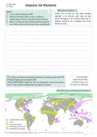 Vorschau - Arbeitsblätter - Bevölkerung 5: Fluchtursachen, Klimaflüchtlinge, Asyl - Seite 2