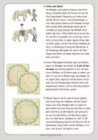 Vorschau - Bildkarten - Mandalas im Roundpen - Material für Reittherapie und Reitpädagogik - Seite 3