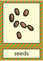 Vista previa - Refuerzo / NEE / Materiales de apoyo - Gardening: flash cards // Tarjetas con imágenes (inglés) - página 2