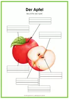 Vorschau - Arbeitsblätter - Mein Apfel - Apfelverkostung, Arbeitsblätter, Legematerial - Seite 3