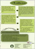 Vorschau - Stundenentwürfe - Geschichte bilingual -The evolution of man- - Seite 2