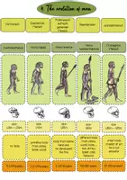 Vorschau - Stundenentwürfe - Geschichte bilingual -The evolution of man- - Seite 3