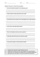 Vorschau - Arbeitsblätter - AB mit Fragen zum Thema "Schnäbel" + Lösungsblatt + Infografik - Deckblatt
