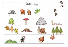 Vorschau - Arbeitsblätter - Naturerlebnisse - Bingo & Farbensuche - Seite 3