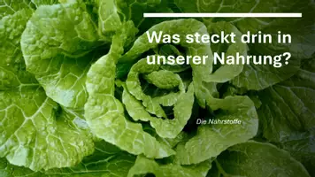 Vorschau - Präsentationen/Tafelbilder - Nährstoffe Einteilung - Deckblatt