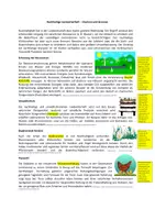 Vorschau - Arbeitsblätter - Arbeitsblatt: Nachhaltige Landwirtschaft (mit Lösung) - Deckblatt
