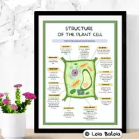 Vorschau - Poster - Struktur der Pflanzenzelle – Lernposter (Englisch). - Deckblatt