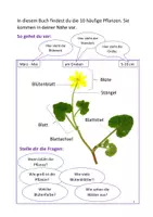 Vorschau - Bildkarten - Mein drittes Pflanzenbuch - Seite 1