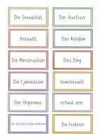 Vorschau - Anderer Materialtyp - Begriffskarten Sexualkunde (inkl. leeren Karten!) - Seite 2