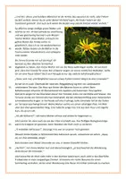 Vorschau - Arbeitsblätter - Kurzgeschichte: "Sonnenterrasse" mit Aufgaben+LÖSUNGEN zum Leseverstehen/Leseverständnis (Thema: Urlaub, Sommer, Sommerferien) - Seite 2