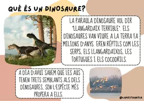 Vista previa - Tarjetas / Manipulativos - CATALÀ. Els dinosaures. Curiositats i preguntes investigables. - página 3