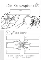 Vorschau - Arbeitsblätter - Forscherheft: Die Kreuzspinne (Klasse 1) - Seite 2