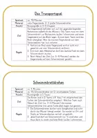Vorschau - Spiele - Schwimmen - Kartenset Schwimmspiele - Seite 3