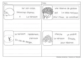 Aperçu - Feuilles d'exercices - Phrases secouées: Herisson - Page 1
