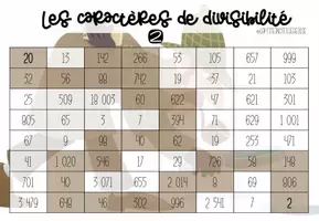 Aperçu - Jeux - Caractères de divisibilité - JEU - Page 3