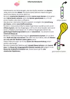 Vorschau - Experimente - Gesetz der Massenerhaltung Experiment + Hilfskarte+ Lösung - Seite 3