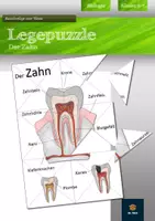 Vorschau - Spiele - Der Zahn - Legepuzzle | Biologie Klasse 6/7 - Deckblatt