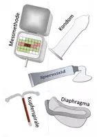 Vorschau - Spiele - Sexualkunde - Legepuzzle (Geschlechtsorgane und Verhütung) | Biologie Klasse 6/7 - Seite 3