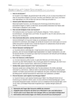 Vorschau - Arbeitsblätter - AB mit Fragen zum Thema "Souvenirs" + Lösungsblatt + Mindmap + Infografik - Seite 3