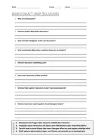 Vorschau - Arbeitsblätter - AB mit Fragen zum Thema "Souvenirs" + Lösungsblatt + Mindmap + Infografik - Deckblatt