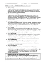 Vorschau - Arbeitsblätter - AB mit Fragen zum Thema "Spione" + Lösungsblatt + Mindmap + Infografik - Seite 3
