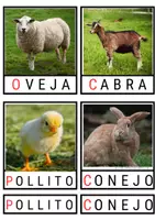 Vista previa - Tarjetas / Manipulativos - Tarjetas 3 partes Granja - página 2
