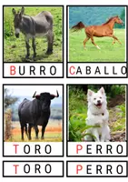 Vista previa - Tarjetas / Manipulativos - Tarjetas 3 partes Granja - página 3