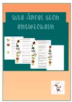 Vorschau - Arbeitsblätter - Synthese: Wie Äpfel sich entwickeln - Deckblatt