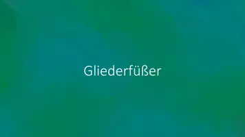 Vorschau - Arbeitsblätter - Gliederfüßer - Lückentext, PPT und Rätsel - Seite 3