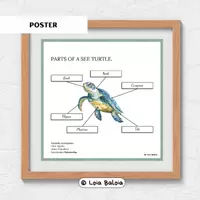 Aperçu - Affichage - ANATOMIE D’UNE TORTUE DE MER - AFFICHE/ANGLAIS. - Page de couverture