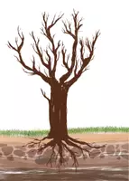 Vorschau - Arbeitsblätter - Der Baum - Deckblatt