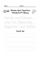 Vorschau - Arbeitsblätter - Wachsendes Paket: ALLE Handschriftübungen - Seite 3
