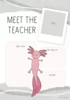 Vorschau - Anderer Materialtyp - Meet the Teacher / Lehrersteckbrief für die Axolotlklasse (grau/beige) - Seite 2