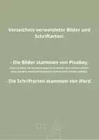 Vorschau - Klassenarbeiten - Klassenarbeit Tierbeschreibung - Gepard - Seite 2
