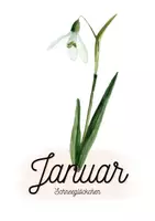 Vorschau - Poster - Geburtstagskalender - Geburtsblumen - Seite 2