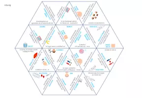 Vorschau - Spiele - Veränderungen in der Pubertät – Dreieck Domino Spiel - Seite 3