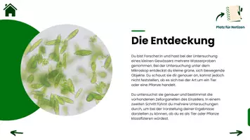 Vorschau - Arbeitsblätter - Der Fall Euglena (interaktive pdf) - Seite 3