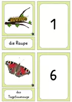 Vorschau - Stundenentwürfe - überfachliches Materialpaket: Schmetterling - Seite 2