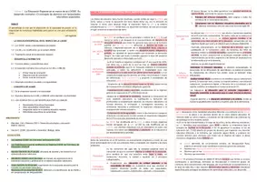 Vista previa - Evaluación - Oposiciones Pedagogía Terapéutica: esquema tema 2 - página 3