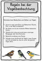 Vorschau - Unterrichtsreihen - Vögel beobachten Logbuch Klasse 1,2,3,4 - Seite 1