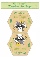Vorschau - Anderer Materialtyp - Kind des Tages Waschbär Waschbärklasse - Seite 1