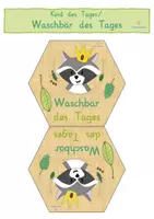 Vorschau - Anderer Materialtyp - Kind des Tages Waschbär Waschbärklasse - Seite 2