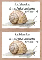 Vorschau - Unterrichtsreihen - dreifach differenzierte Lesekartei Schnecke Klasse 1-2 - Seite 2