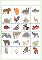 Vorschau - Fördermaterial/Inklusion - Raumwahrnehmung, Wege nachgehen - Klettmappe - Seite 1