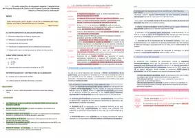 Vista previa - Unidades / Secuencias / Situaciones de Aprendizaje - Oposiciones Pedagogía Terapéutica: Esquema tema 5 - página 3