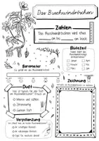 Vorschau - Arbeitsblätter - Steckbrief Frühblüher 18 Arbeitsblätter SPARPAKET - Materialpaket - Seite 3