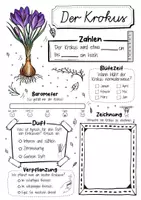 Vorschau - Arbeitsblätter - Steckbrief Krokus - Frühblüher - Seite 1